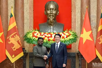 Chủ tịch nước Lương Cường và Tổng thống Sri Lanka Anura Kumara Dissanayaka tại buổi hội đàm.