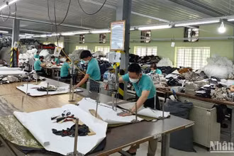 Cắt mẫu sản phẩm tại Tổng công ty cổ phần Dệt may Nam Định. (Ảnh: HOÀNG ANH)
