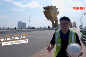 Theo chân những người "chăm Rồng" tại thành phố Đà Nẵng