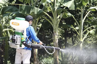Xã Gia Xuyên phun hóa chất diệt muỗi phòng trừ dịch sốt xuất huyết.
