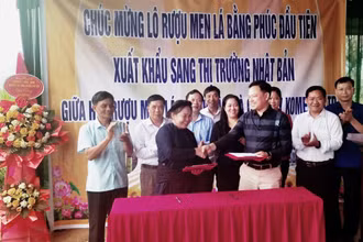 Hợp tác xã Thanh Tâm và đối tác ký kết hợp đồng xuất khẩu rượu sang Nhật Bản.