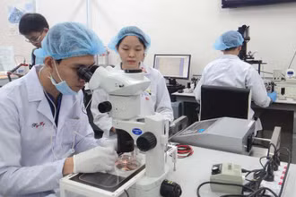Nghiên cứu khoa học tại Trường Đại học Quốc tế, Đại học Quốc gia TP Hồ Chí Minh.
