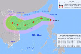 Vị trí và hướng di chuyển của bão Nesat. (Nguồn: nchmf.gov.vn)