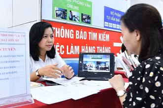 Lao động tìm hiểu thông tin việc làm tại Trung tâm Dịch vụ việc làm Hà Nội. (Ảnh: nhandan.vn)