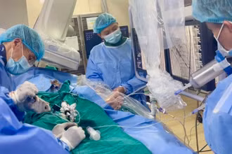 Các bác sĩ đang thực hiện ca can thiệp.