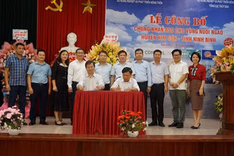 Quang cảnh ký kết sản xuất tiêu thụ ngao theo chuỗi giá trị. 