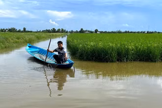 Mô hình luân canh lúa-tôm được đánh giá bền vững về kinh tế và môi trường, được nông dân nhiều tỉnh Vùng đồng bằng sông Cửu Long áp dụng. 