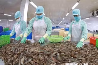 Sản phẩm thủy sản xuất khẩu.