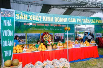 Đẩy mạnh quảng bá thương hiệu Cam Cao Phong