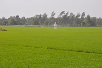 Nơi diễn ra trận đánh Ấp Bắc.
