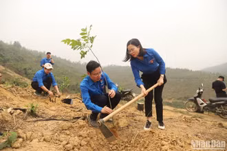 Đoàn thanh niên 21 đơn vị trực thuộc khối Doanh nghiệp Trung ương ra quân phát động trồng 525 nghìn cây xanh “Vì một Việt Nam xanh" năm 2023.