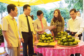 Lãnh đạo huyện Hải Lăng và Hội Nông dân tỉnh tham quan gian hàng cam hữu cơ của Công ty Bàu Giàng.