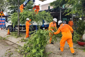 Điện lực Bến Tre phát quang cây xanh để ngăn ngừa sự cố lưới điện có mưa bão.