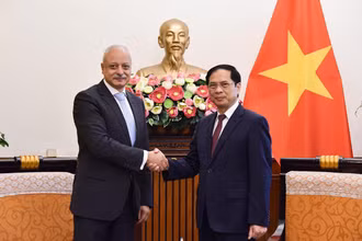 Bộ trưởng Ngoại giao Bùi Thanh Sơn tiếp xã giao Trợ lý Bộ trưởng Ngoại giao Ai Cập Ayman Aly Kamel Aly. (Ảnh: Bộ Ngoại giao)