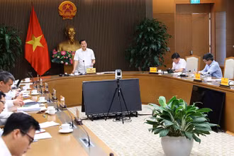 Phó Thủ tướng Lê Minh Khái phát biểu tại cuộc họp.