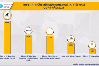Top 5 thị phần môi giới hàng hóa tại Việt Nam quý II/2024.