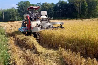 Cơ giới hóa sản xuất nông nghiệp trên địa bàn huyện Phú Bình.
