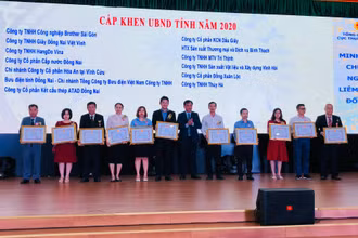 Lãnh đạo Ủy ban nhân dân tỉnh Đồng Nai trao tặng bằng khen cho các doanh nghiệp nộp thuế tiêu biểu.