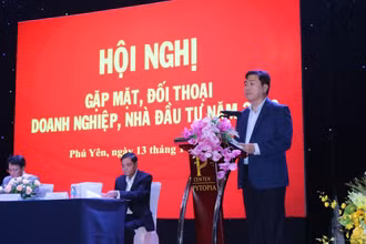 Ông Trần Hữu Thế, Chủ tịch Ủy ban nhân dân tỉnh Phú Yên giải thích, hướng tháo gỡ khó khăn, vướng mắc mà các doanh nghiệp và nhà đầu tư đang gặp phải. 