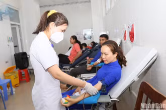 Đoàn viên thanh niên hiến máu tình nguyện tại Khoa Huyết học và truyền máu của Bệnh viện đa khoa tỉnh Ninh Thuận.