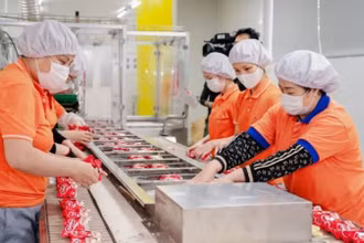 Nhiều lĩnh vực sản xuất phục hồi, tạo ra mức tăng trưởng cao cho tỉnh Thái Bình.