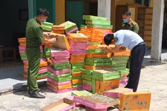 Bánh không rõ nguồn gốc ở kho hàng của chị Phạm Thị Nga, xã Yên Phú, huyện Yên Mỹ, tỉnh Hưng Yên.