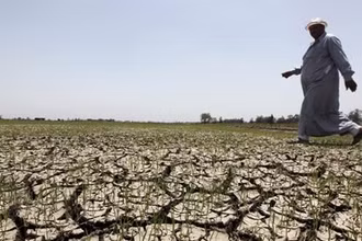 Một nông dân Ai Cập trên cánh đồng khô hạn tháng 6/2023. (Ảnh: Reuters)