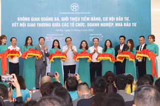 Các đại biểu cắt băng khai mạc chương trình. 