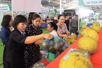 Đông đảo khách hàng chọn mua nông sản sạch.