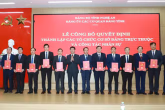 Các đồng chí Thường trực Đảng ủy Các cơ quan Đảng tỉnh Nghệ An trao quyết định thành lập các tổ chức cơ sở đảng trực thuộc và công tác nhân sự.