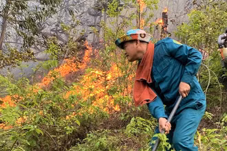 Ngọn lửa bùng phát trở lại ở khu vực rừng thuộc xóm Tân Phong, xã Thanh Khai, huyện Thanh Chương vào sáng nay.