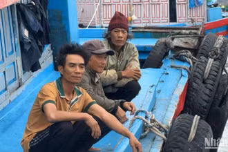 3 ngư dân Quảng Ngãi bị chìm tàu cá khi hành nghề trên biển được đưa vào bờ an toàn.