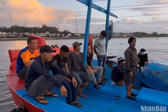 Các ngư dân Quảng Ngãi bị chìm tàu khi đang hành nghề trên biển được đưa vào bờ an toàn.