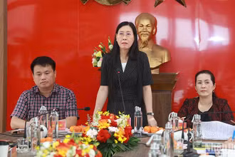 Bí thư Tỉnh ủy Quảng Ngãi Bùi Thị Quỳnh Vân phát biểu chỉ đạo tại buổi làm việc.