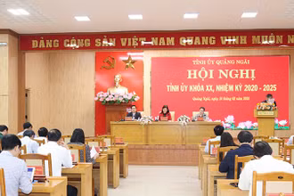 Quảng Ngãi dừng bổ nhiệm, giới thiệu cán bộ ứng cử giữ chức vụ cao hơn cho đến khi có chủ trương mới của Ban Thường vụ Tỉnh ủy. 