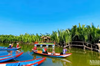 Du khách trải nghiệm điểm du lịch rừng dừa nước Tịnh Khê, ở xã Tịnh Khê, thành phố Quảng Ngãi.