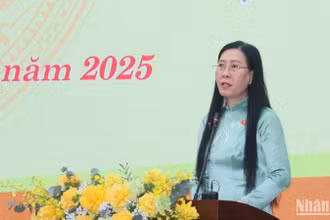 Đồng chí Bùi Thị Quỳnh Vân, Ủy viên Trung ương Đảng, Bí thư Tỉnh ủy, Chủ tịch Hội đồng nhân dân tỉnh Quảng Ngãi phát biểu tại kỳ họp.