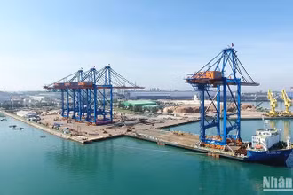 Bức tranh kinh tế Quảng Ngãi năm 2024 có nhiều điểm sáng. 