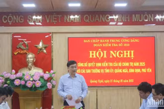 Phó Chủ tịch Quốc hội, Phó Trưởng đoàn Thường trực Đoàn Kiểm tra số 1910 của Bộ Chính trị Vũ Hồng Thanh phát biểu tại hội nghị.