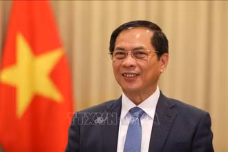 Phó Thủ tướng Chính phủ, Bộ trưởng Ngoại giao Bùi Thanh Sơn. Ảnh: TTXVN.
