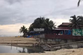 Cửa xã Mỹ An, quận Ngũ Hành Sơn, thành phố Đà Nẵng. (Ảnh ANH ĐÀO)