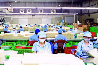 Dây chuyền sản xuất bánh tráng thành phẩm của Công ty TNHH Tân Nhiên, tỉnh Tây Ninh. (Ảnh: TTXVN)