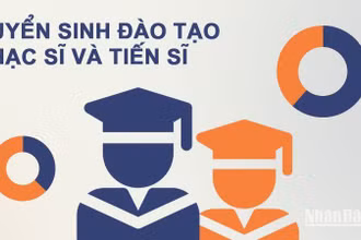 Tuyển sinh đào tạo tiến sĩ, thạc sĩ giảm đáng kể