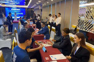 Kết nối đầu tư nước ngoài tại Đà Nẵng.