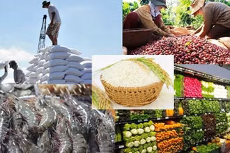 Các mặt hàng xuất khẩu của Việt Nam sang EU.