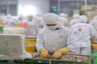 Xuất khẩu thủy sản sang Trung Quốc được kỳ vọng tăng trưởng mạnh trong năm 2024. 