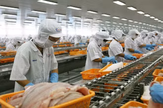Cá tra Việt Nam có nhiều cơ hội xuất khẩu sang thị trường Trung Quốc. 