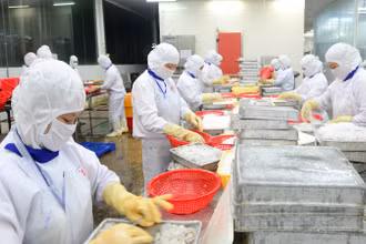 Thủy sản Việt Nam là một trong những mặt hàng có mặt tại hệ thống bán lẻ trên nhiều quốc gia trên thế giới. (Ảnh: ĐỨC AN)