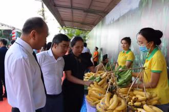 Sản phẩm chuối của Việt Nam rộng đường xuất khẩu sang thị trường Trung Quốc. 