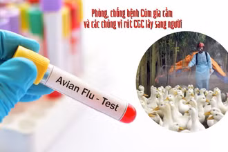 (Ảnh minh họa)